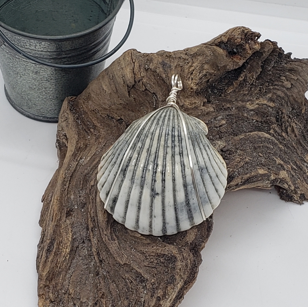 Wire Wrapped Scallop Shell Pendant